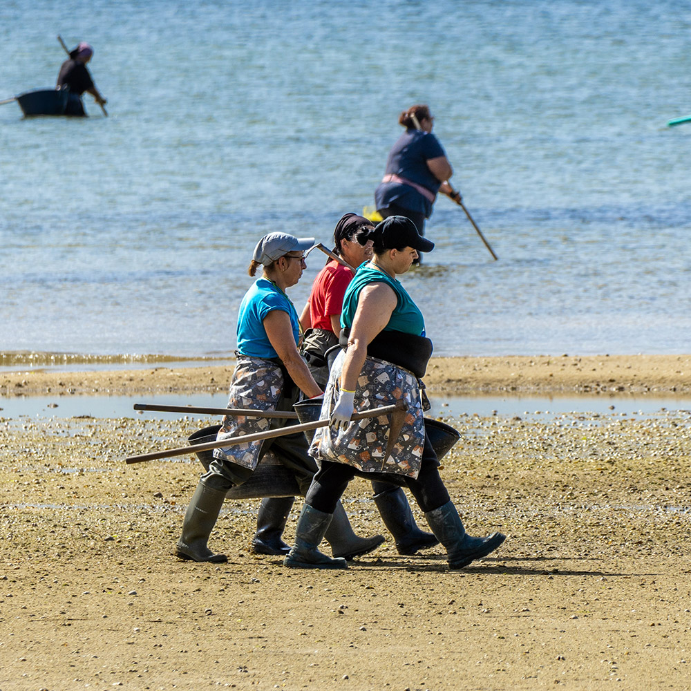 Boiro Turístico Mariscadoras